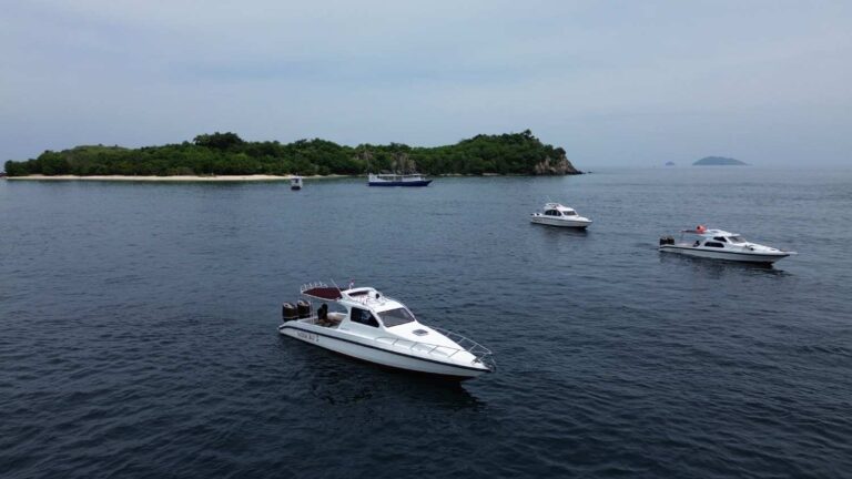 Private Rinca Island Tour