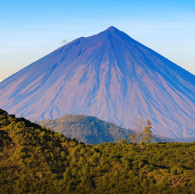 Flores & Komodo Combination Tour 9 Days 8 Nights