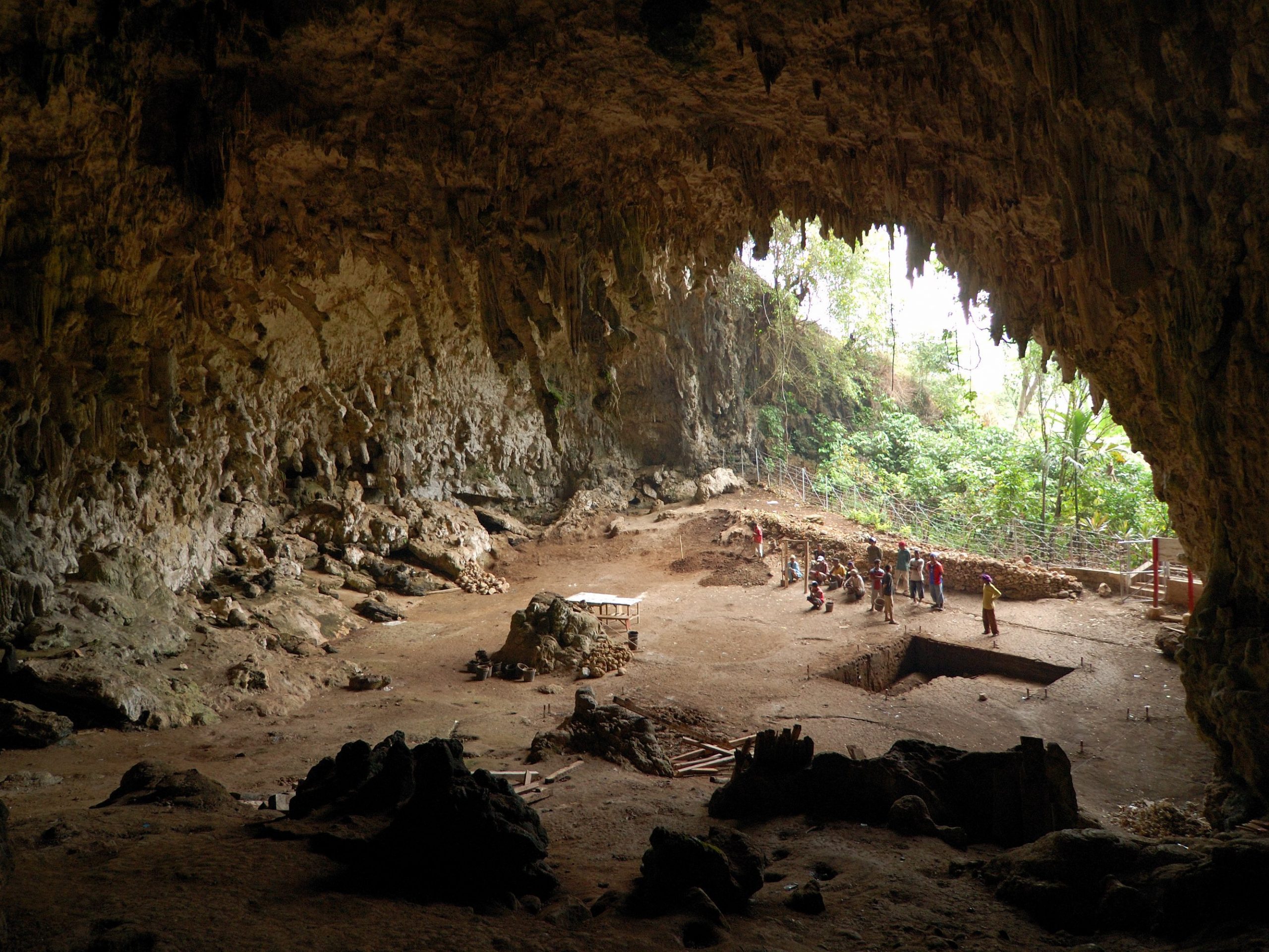 Liang Bua Cave Tour 1 Day