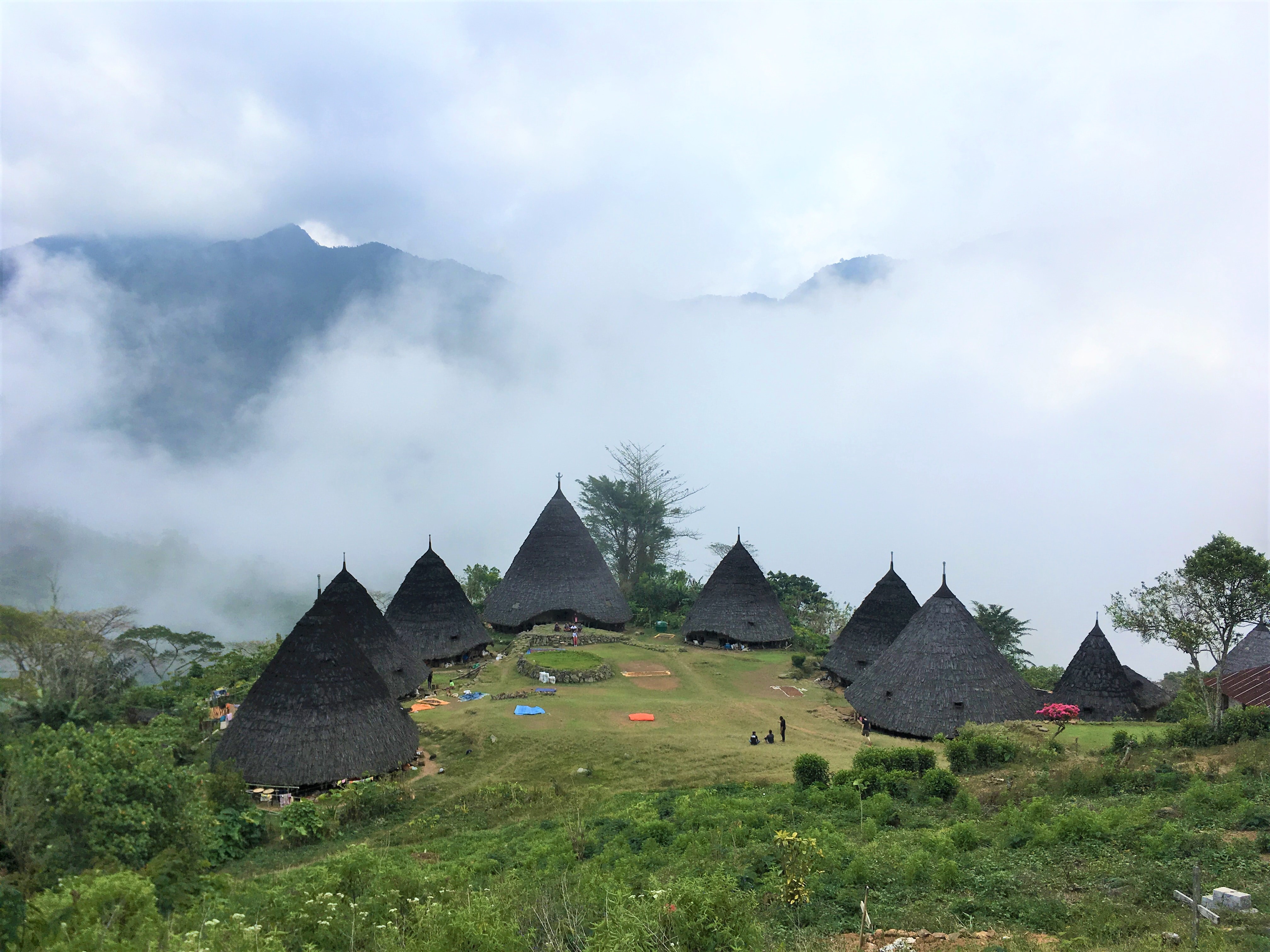 Wae Rebo Tour 3 Days 2 Nights