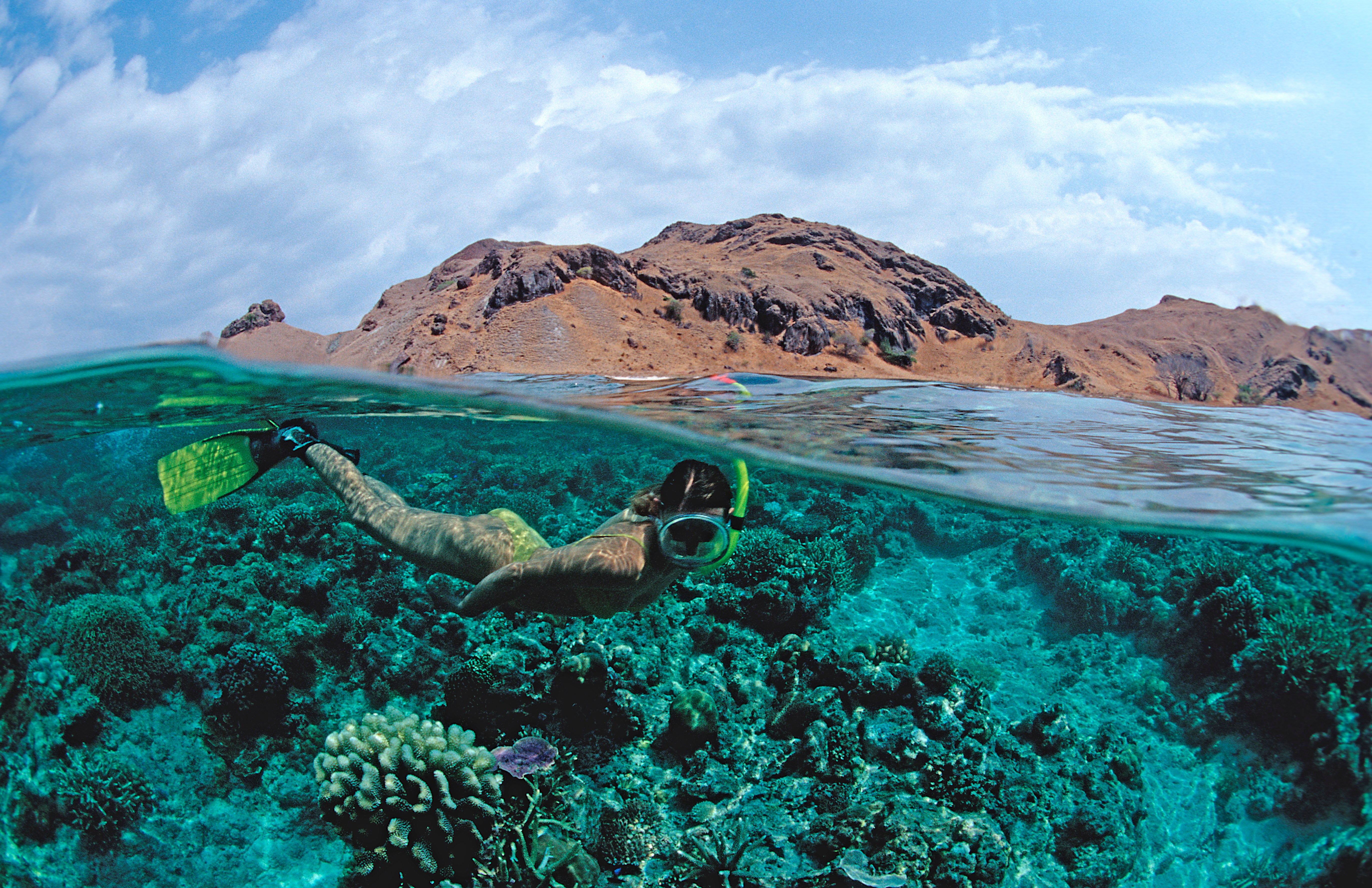 Komodo Open Trip by Speed Boat  6 Destinations