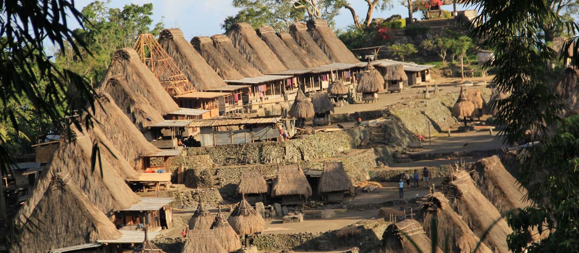 Flores & Komodo Combine Tour  6 Days 5 Nights