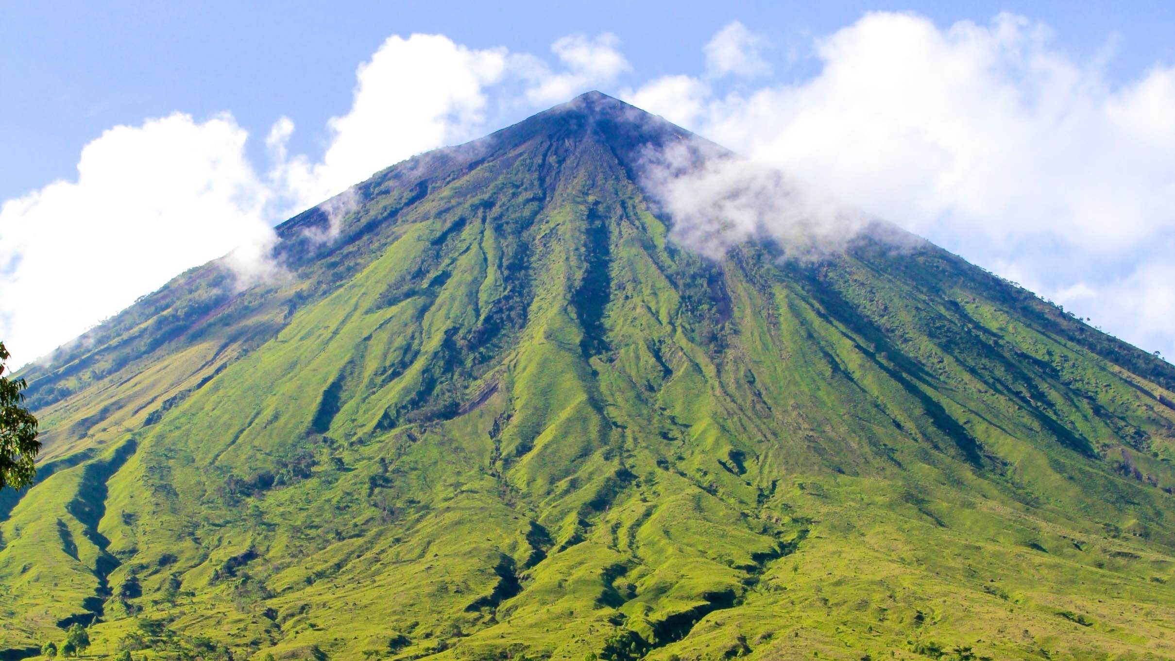Tour to Flores island